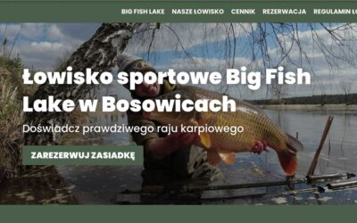 Case study: Strona internetowa z podglądem dostępności stanowisk dla łowiska specjalnego Big Fish Lake